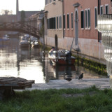 IMG_0190