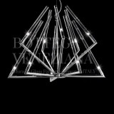 ACHERON-L-10