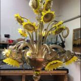 GIRASOLI-1