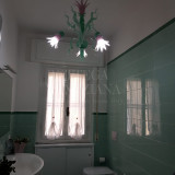 CLEO-VERDE-ROSA86bce1f7a9384611